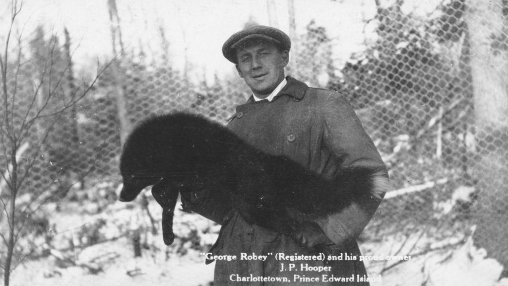 farmed fur animals via Public Archives and Records Office of Prince Edward Island