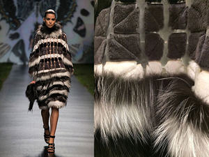 Fur in the news4