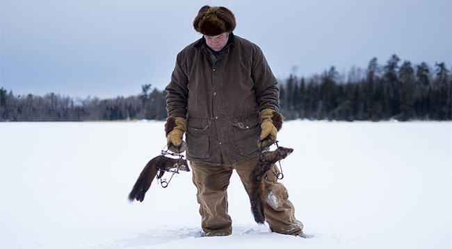 fur in the news, wild fur, canada, trapper, trapping