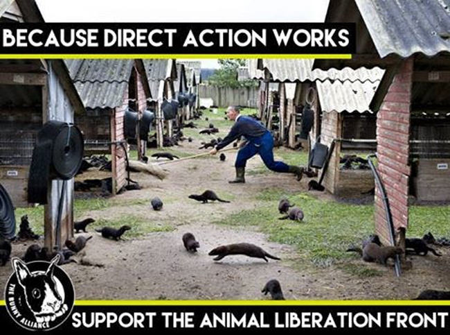 animal rights terrorism, economic sabotage, direct action