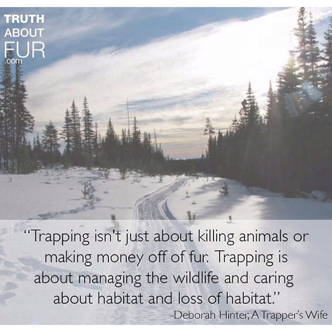 fur in the news, fur, trapper, canada