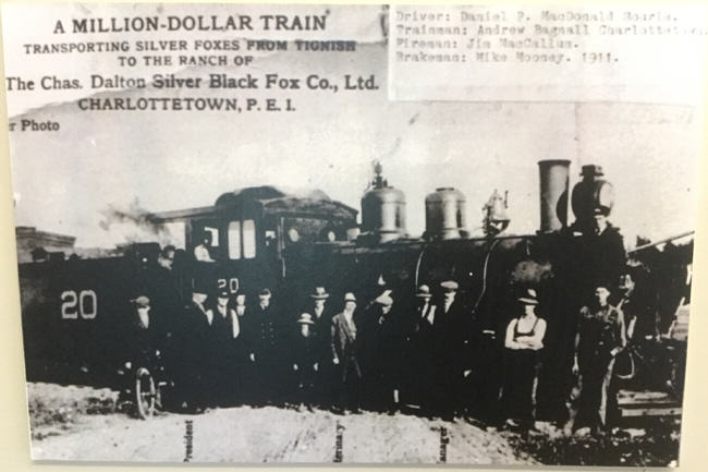 Million Dollar Train, fox farming, Charles Dalton, prince edward island