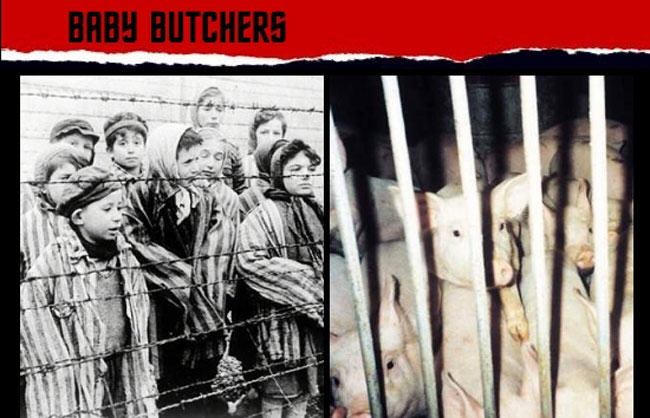 violence against women, peta, fur, Holocaust