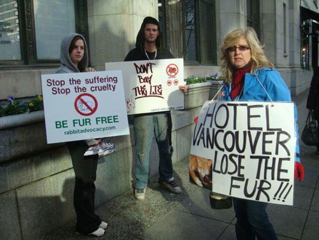 animal rights, alan herscovici, fur, Hotel Vancouver, protest
