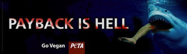 violence against women, peta, fur, shark