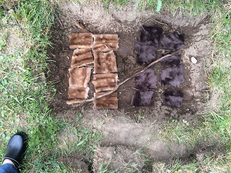 fur burial, mink, fake fur, real fur, biodegradable, sustainable