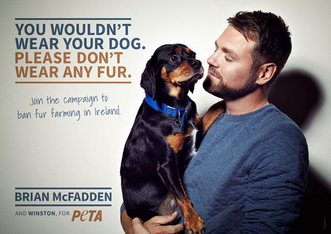 Brian McFadden, hypocrite, Peta, fur