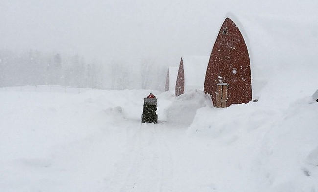 mink farm, nova scotia