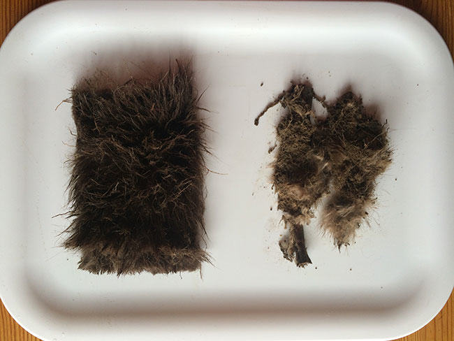 fur burial, mink, fake fur, real fur, biodegradable, sustainable