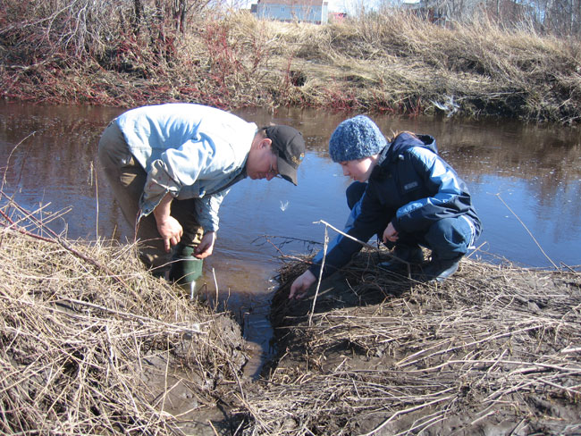 trapping, Serge Larivière, muskrat, Born Free