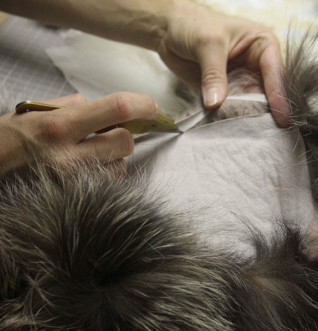 Inside Finland's cruel fox fur farms, the shame of the luxury fashion  industry