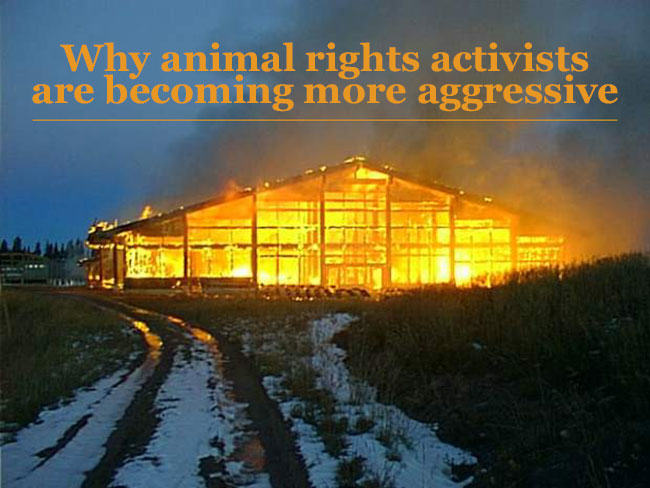 animal rights activists