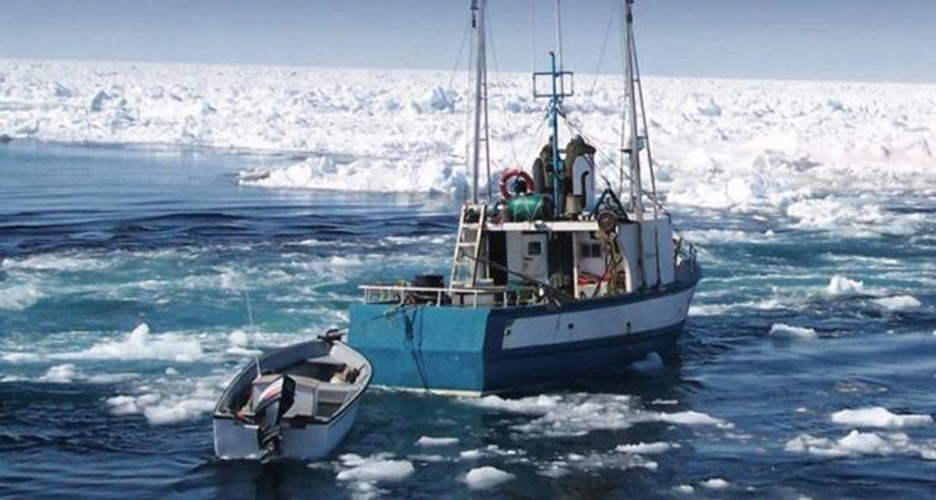 support for sealing, seal hunt, Newfoundland, Canada