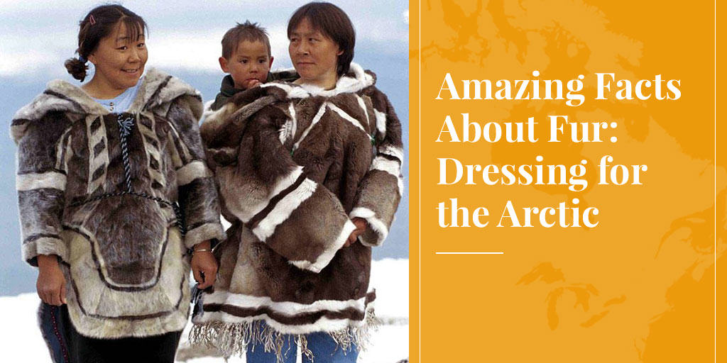 Arctic outerwear  Inuit clothing, Native american fashion, Historical  clothing