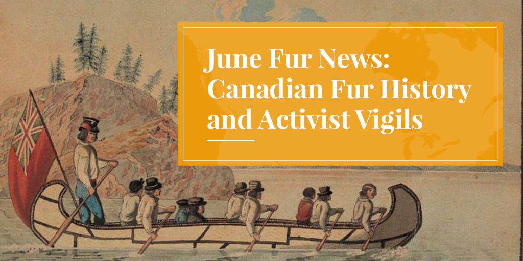 Canadian fur trade history canoe