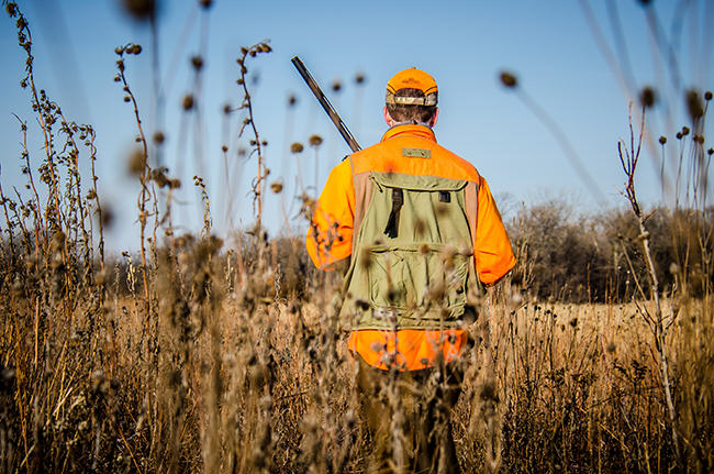 Liberals and Conservatives care about nature