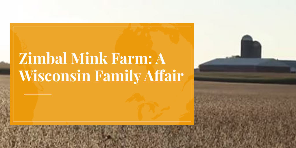 Zimbal Mink Farm