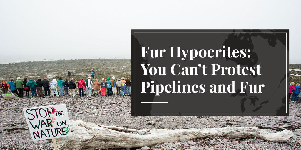 don't wear synthetic clothes and protest pipelines
