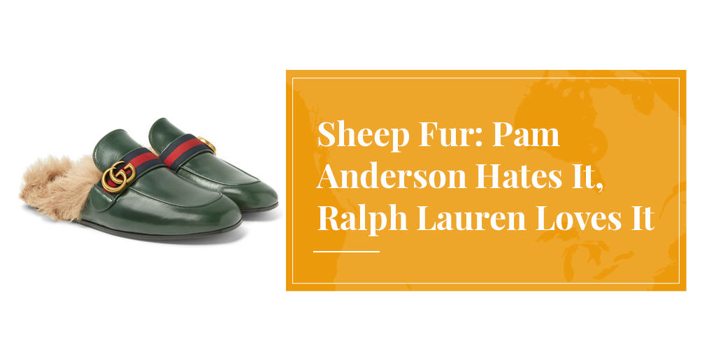 sheep fur hated by Pam Anderson, loved by Ralph Lauren