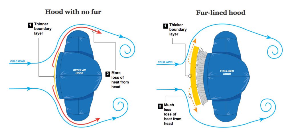 fake fur vs real fur