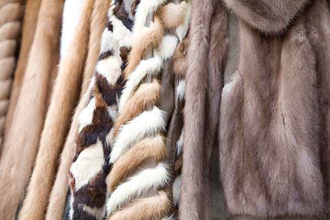 sustainable fashion means fur which is not bleached or dyed
