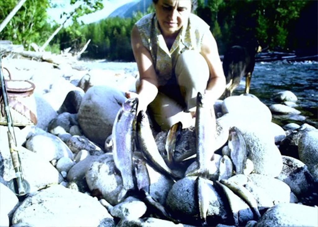 rainbow trout in the Selkirk Mountains