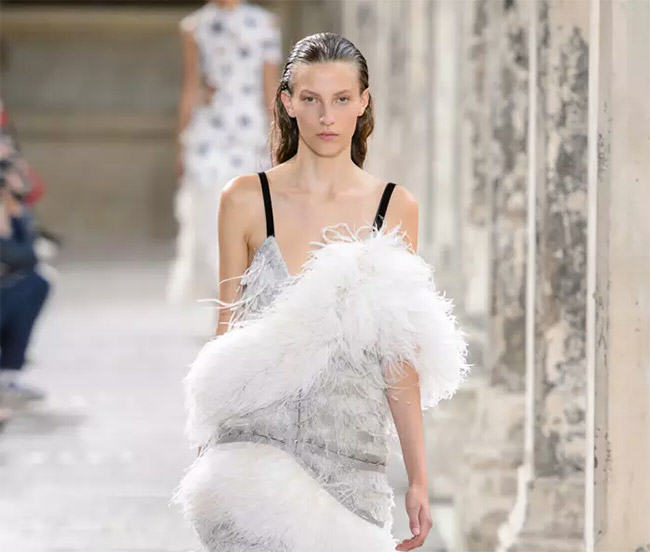 feathers in fashion