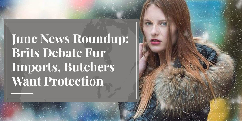 will UK ban fur imports