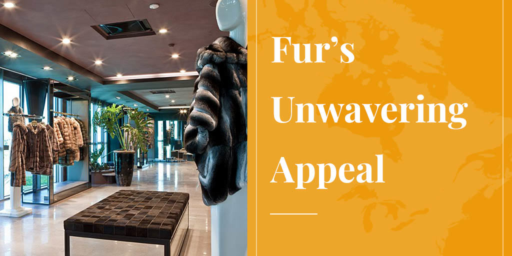fur's unwavering appeal