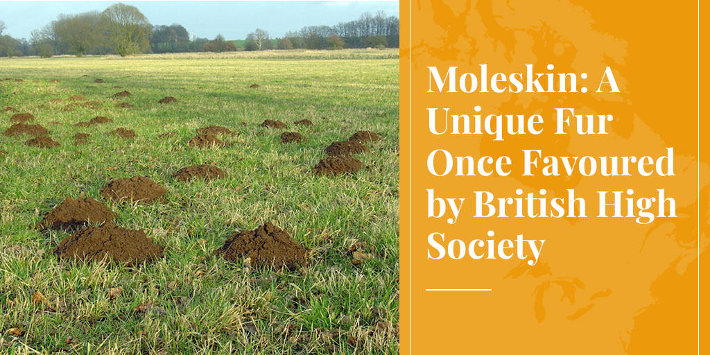 mole hills