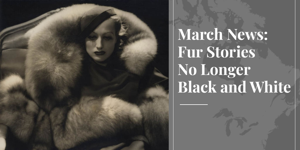 fur stories not black and white