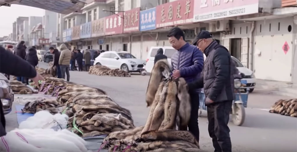 Shancun fur market