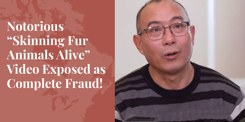 skinning fur animal alive fraud