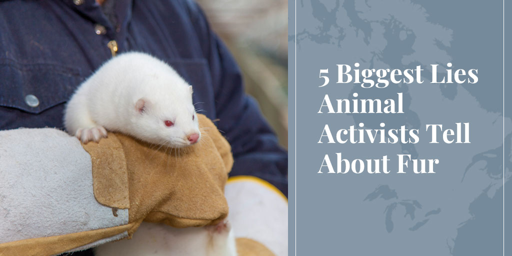 animal activist lies about fur