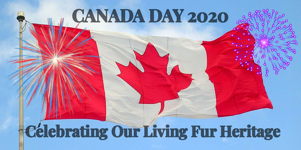 Canada Day 2020