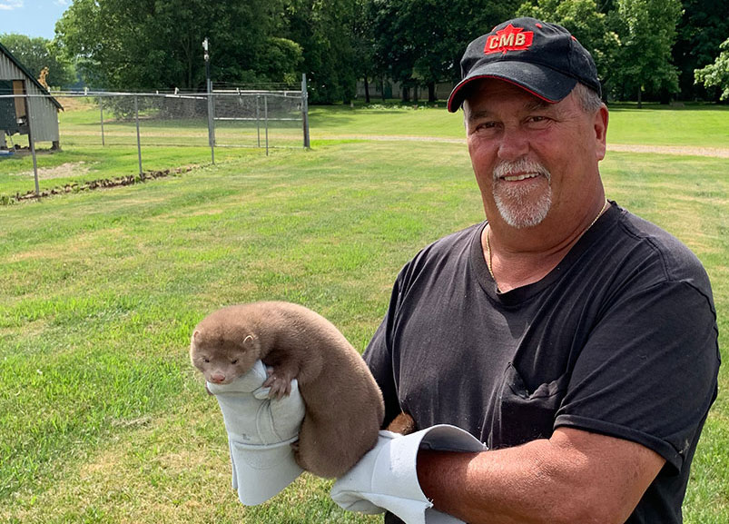 Ontario mink farmer Tom McLellan