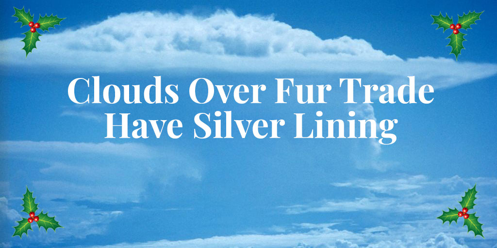 silver lining for fur trade