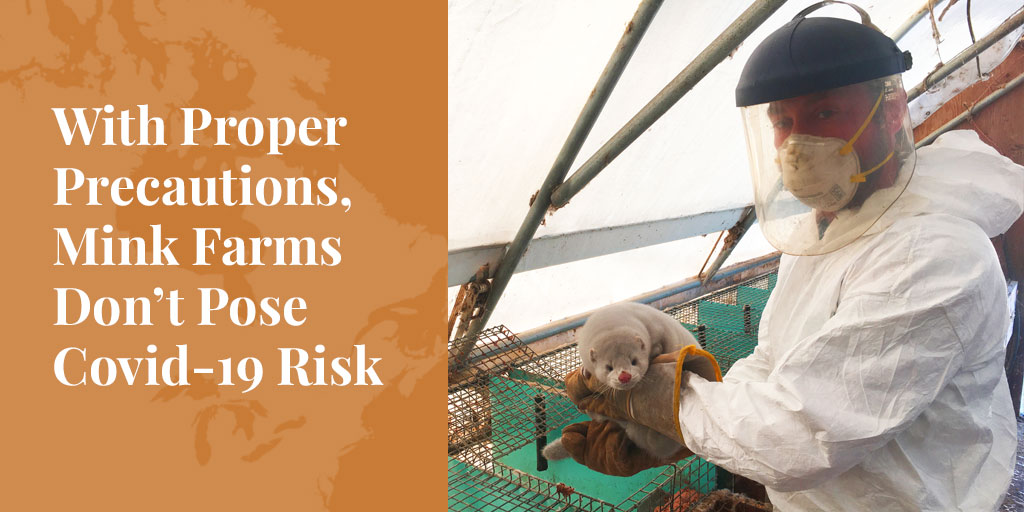 biosecurity on mink farms