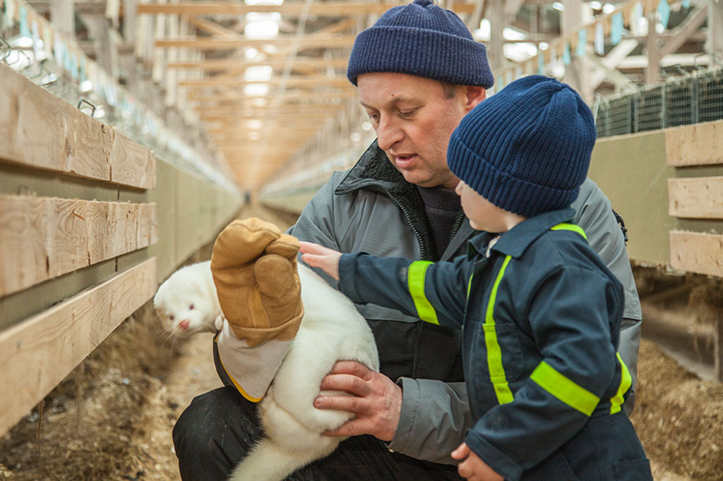 mink farms prioritise animal welfare