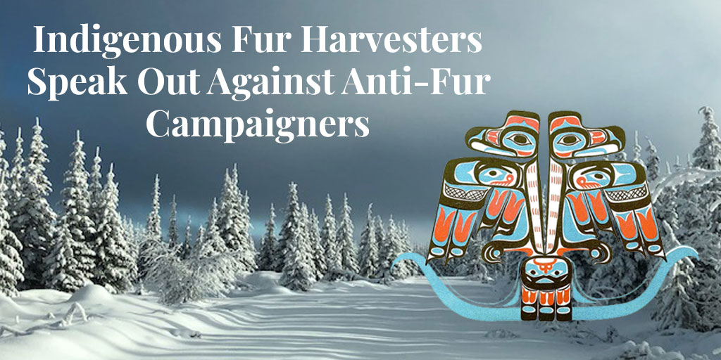 Indigenous fur harvesters speak out