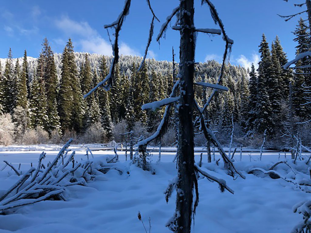 On the land in British Columbia