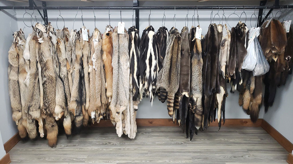 Fur Harvesters Auction store