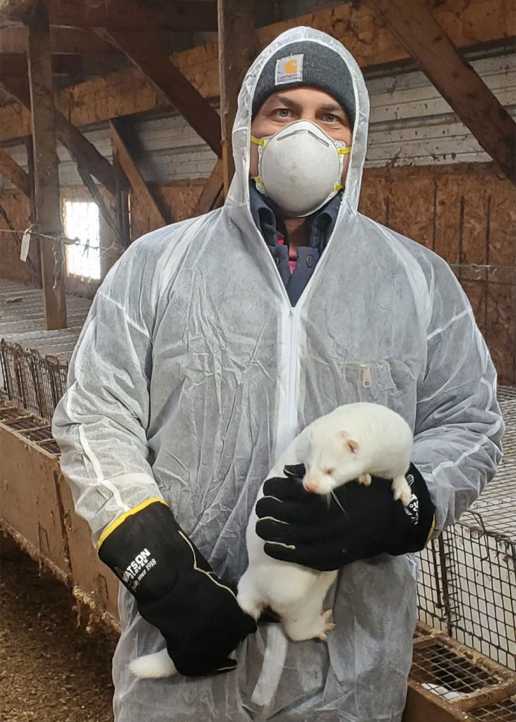 mink farmer in full PPE