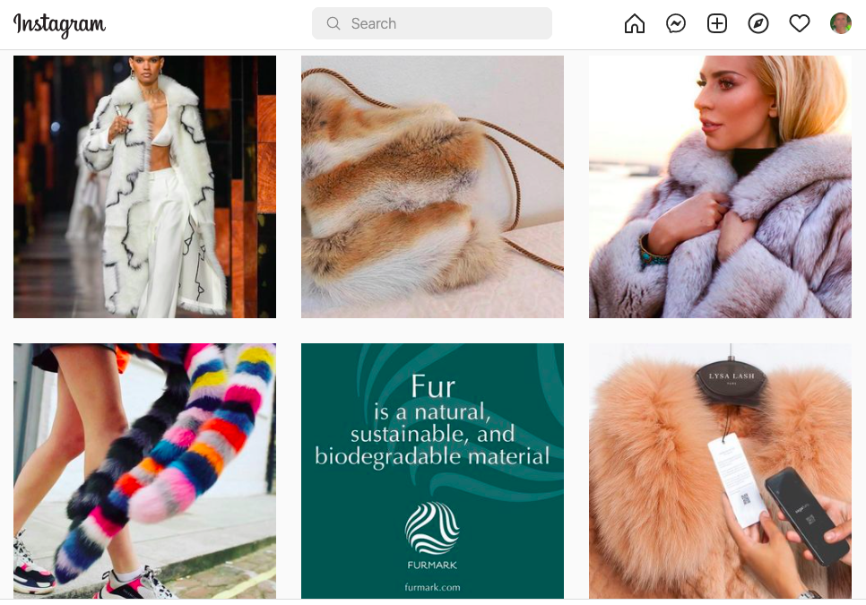 Instagram promotes fur