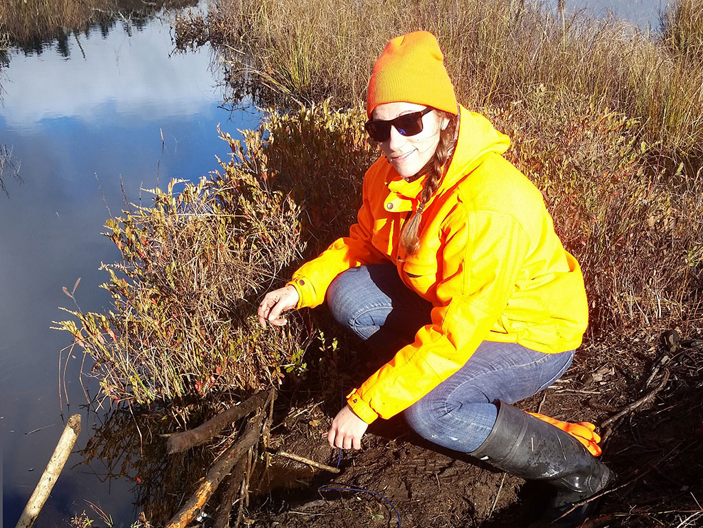 Lauren Tonelli sets beaver trap