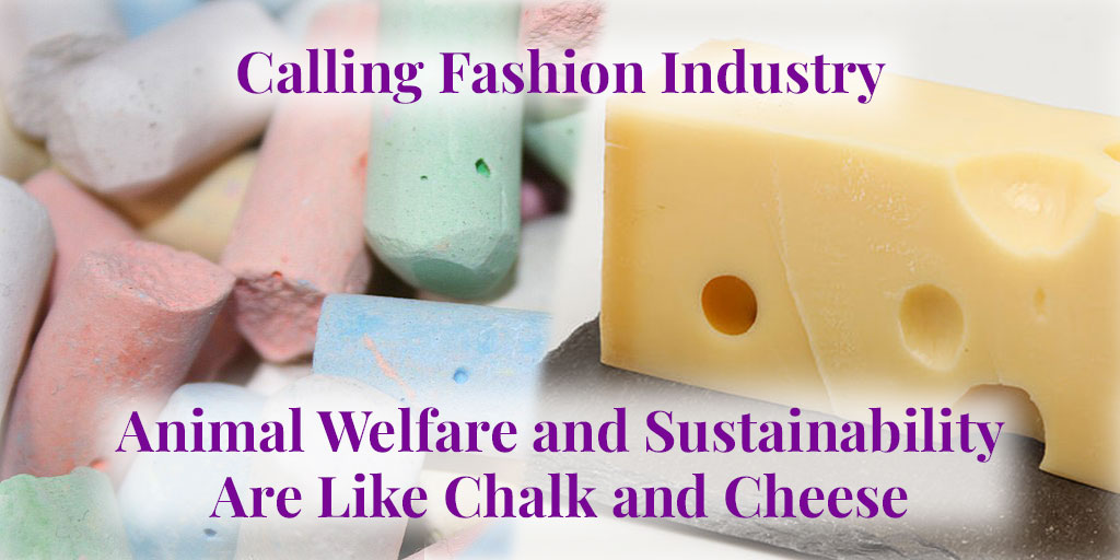 animal welfare and sustainability like chalk and cheese