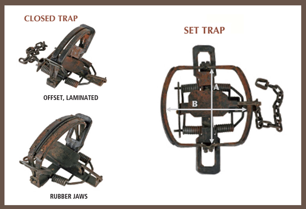 humane wolf trap