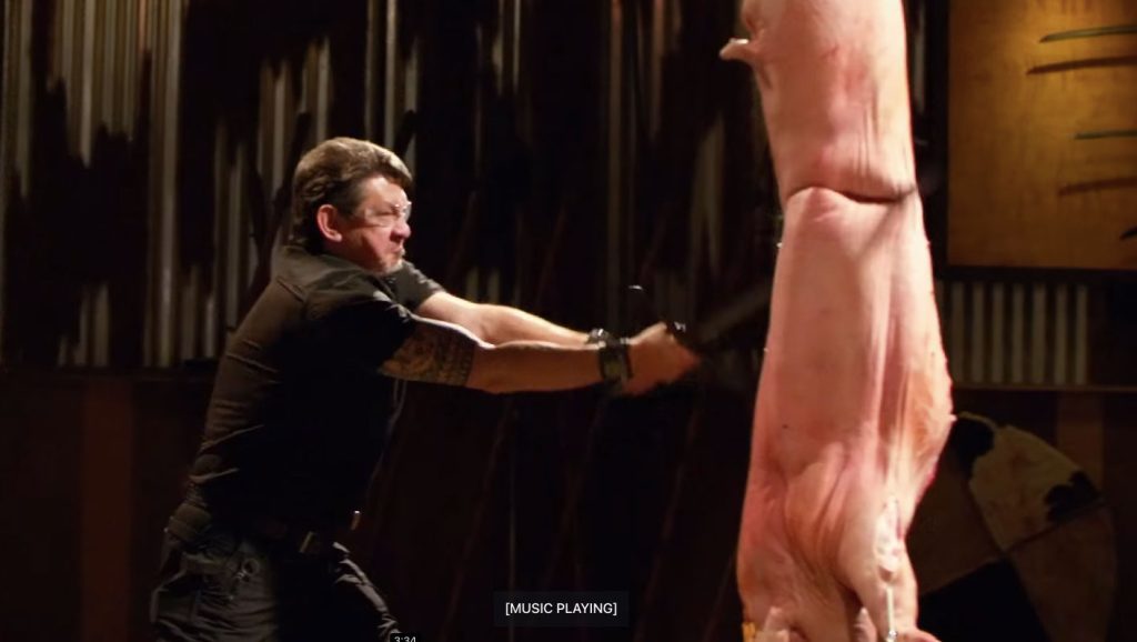 pig carcasses on Forged in Fire