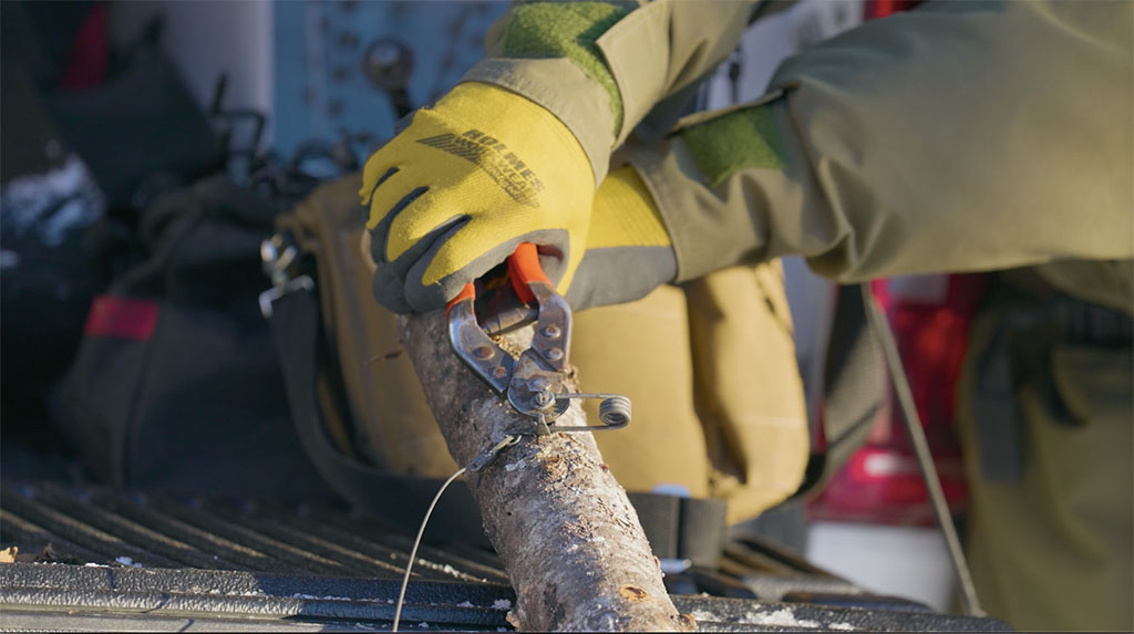 cable cutters remove a snare